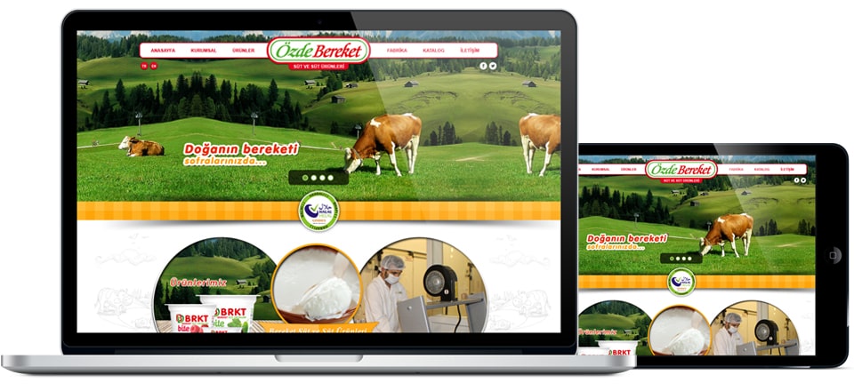 BD Niksar Süt ve Süt Ürünleri